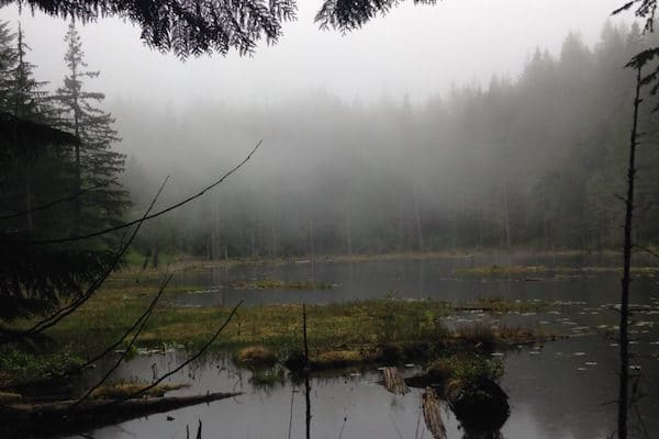 running-towards-fog-on-a-lake