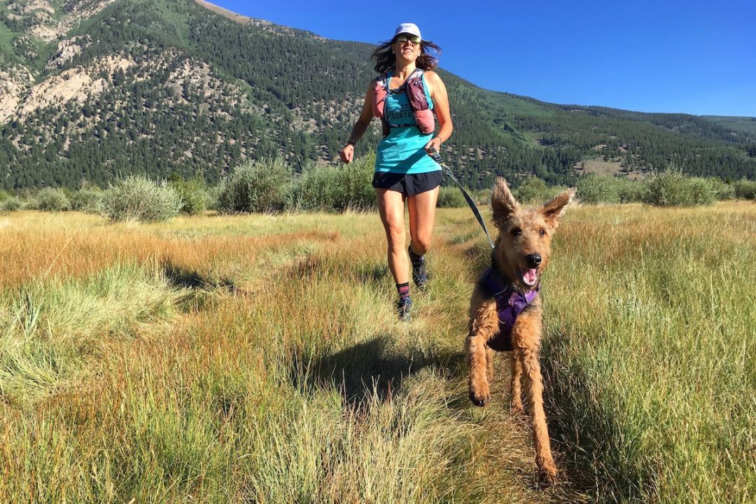 Trail running hot sale dogs