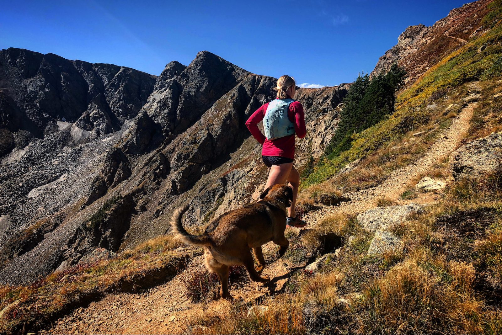 Running and Hiking with Dogs | Trail Sisters®