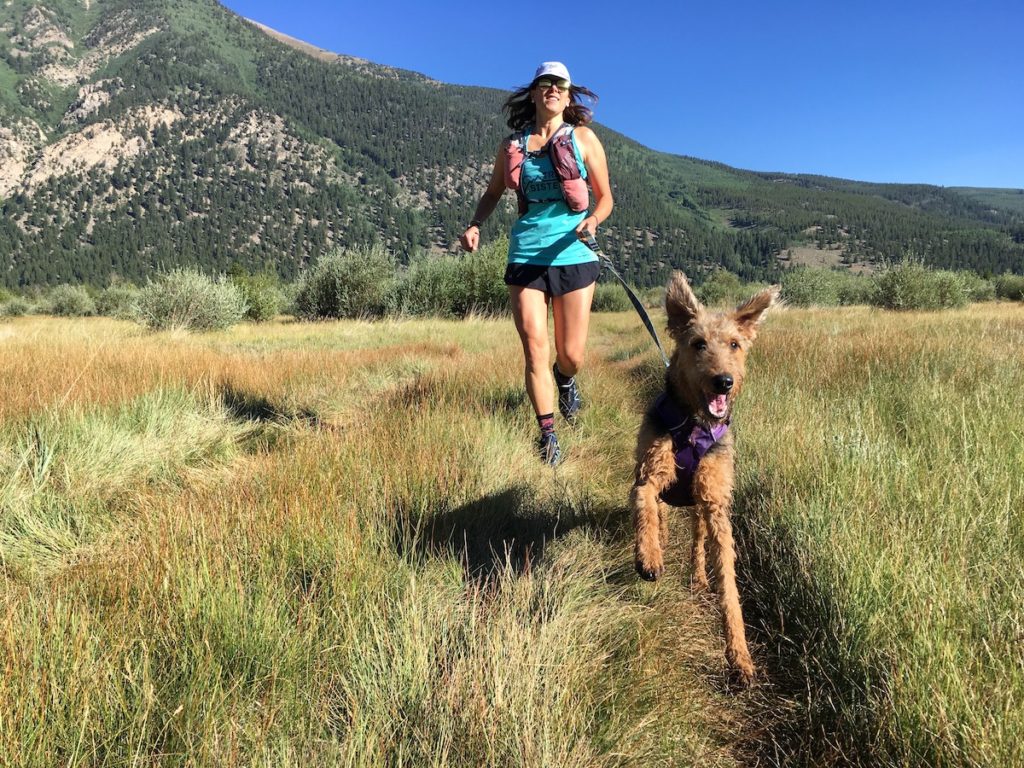 Mixing Pups and People on Trails | Trail Sisters®