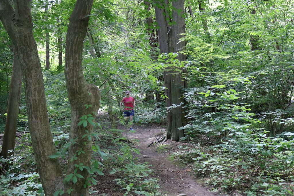 Wissahickon Valley Park Trail - Forbidden Drive - Circuit Trails