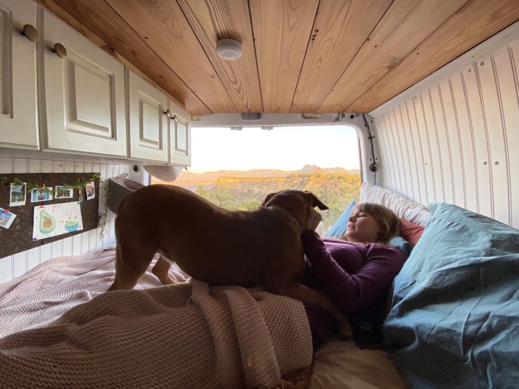 The Coolest Vanlife Pets Travelling In a Campervan