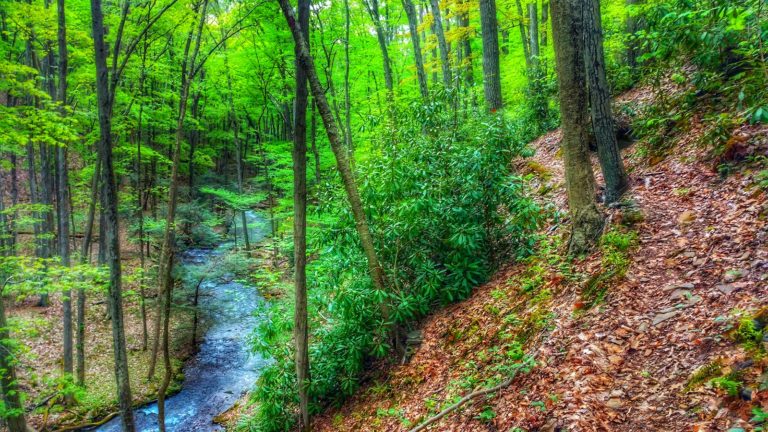 merrell banshee trail sisters