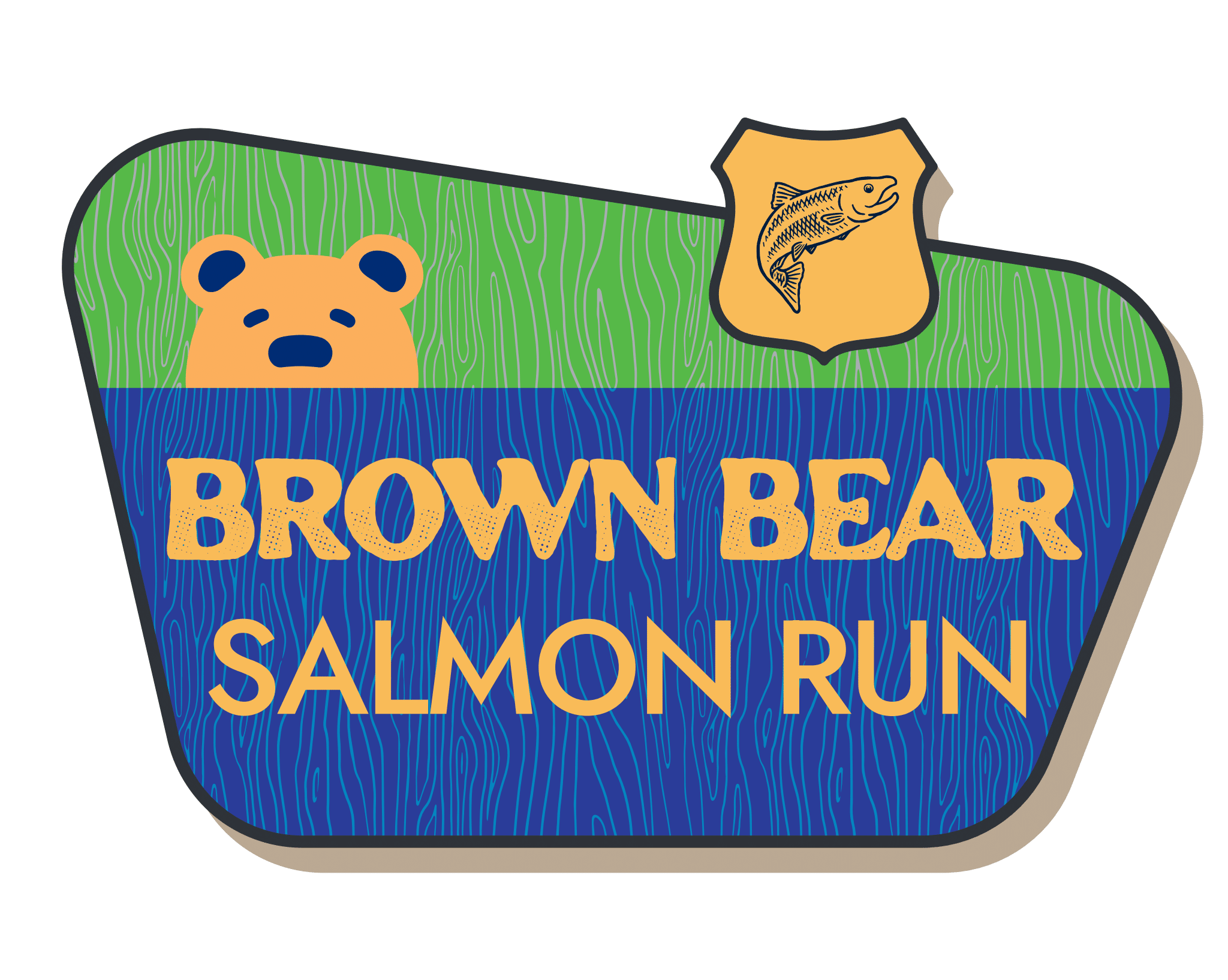 Brown-Bear-Salmo-Run