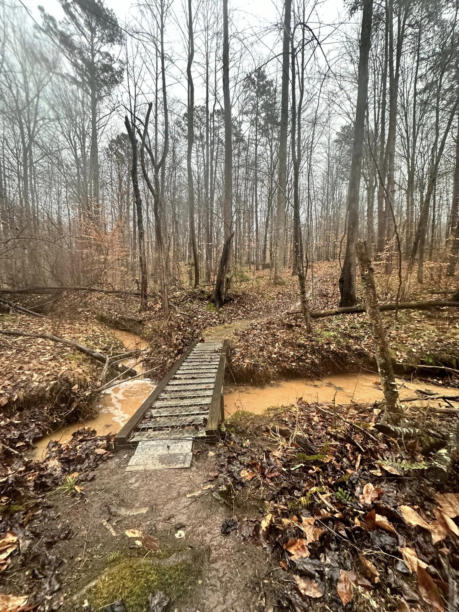 Naked-Creek-trail