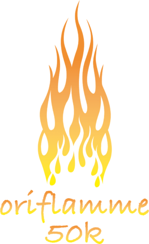 oriflamme-logo-no-border