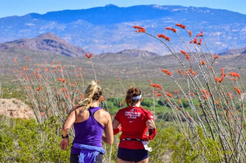 ocotillo-runners